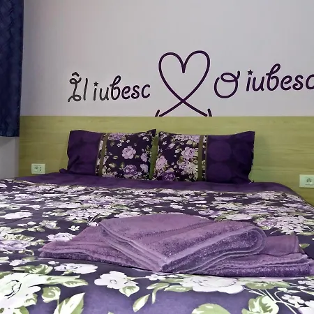 Apartament Apartament P&d *